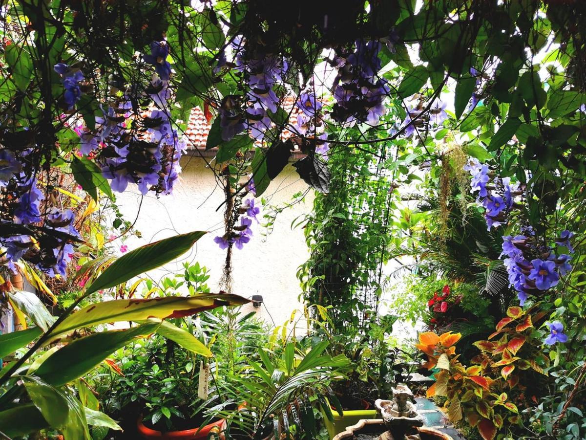 Romantic Casa Lorenzina Affittacamere Ventimiglia Luaran gambar
