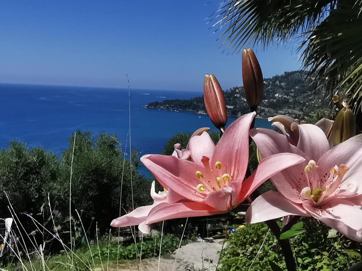 Romantic Casa Lorenzina Affittacamere Ventimiglia Luaran gambar
