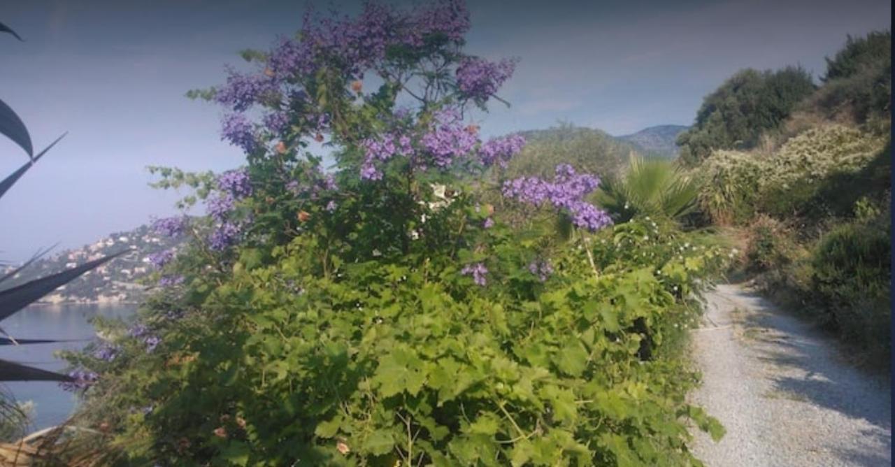 Romantic Casa Lorenzina Affittacamere Ventimiglia Luaran gambar