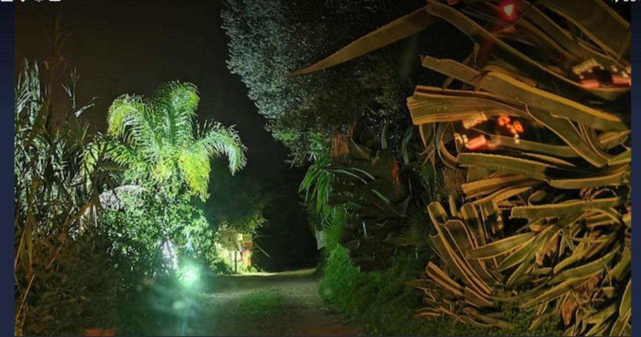 Romantic Casa Lorenzina Affittacamere Ventimiglia Luaran gambar
