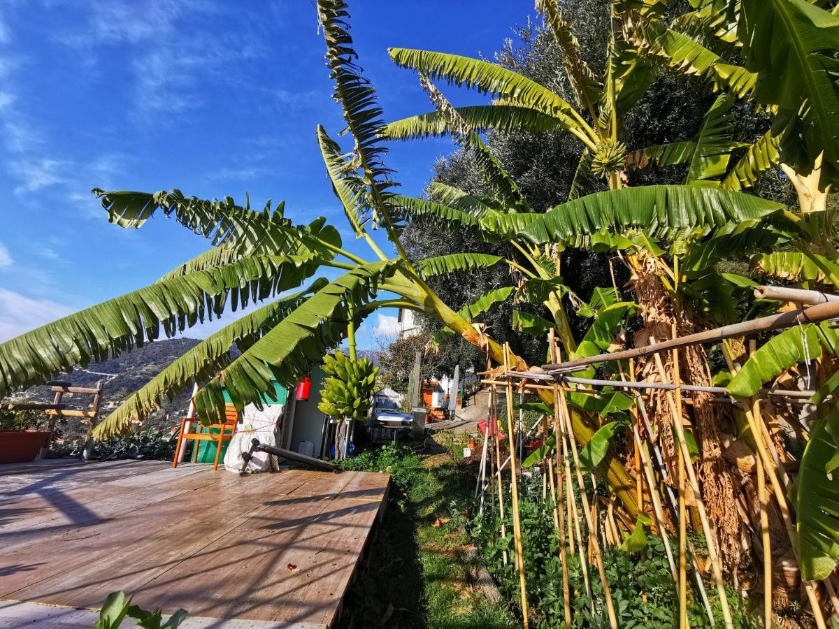 Romantic Casa Lorenzina Affittacamere Ventimiglia Luaran gambar